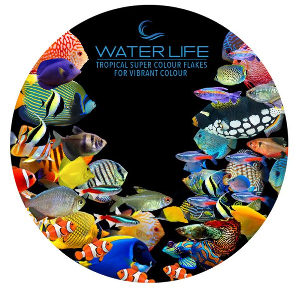 Water Life Tapered Lid Tropical Super Colour