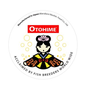 Otohime white tapered lid 220g