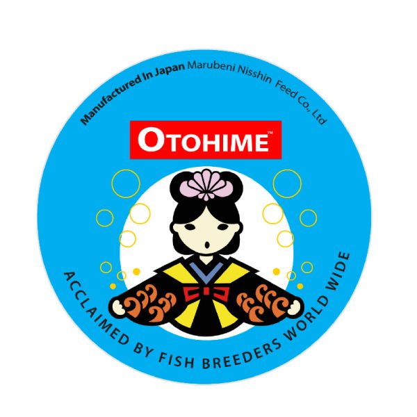 Otohime blue tapered lid 220g