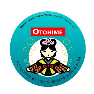 Otohime teal lid 220g 80 x 80 mm