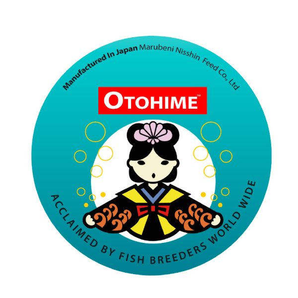 Otohime teal lid 220g 80 x 80 mm