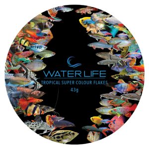 Water Life Tapered Lid Tropical Super Colour 43g 100 x 100 mm