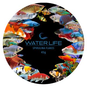 Water Life Tapered Lid Spirulina Flakes 45g 100 x 100 mm
