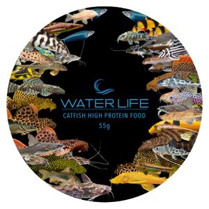 Water Life Tapered Lid Catfish High Protein Food 55g Lid 100 x 100 mm